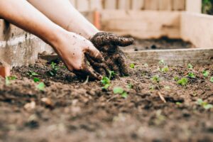 landscaper cost in australia