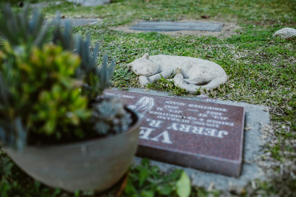 pet-cremation-cost-in-australia