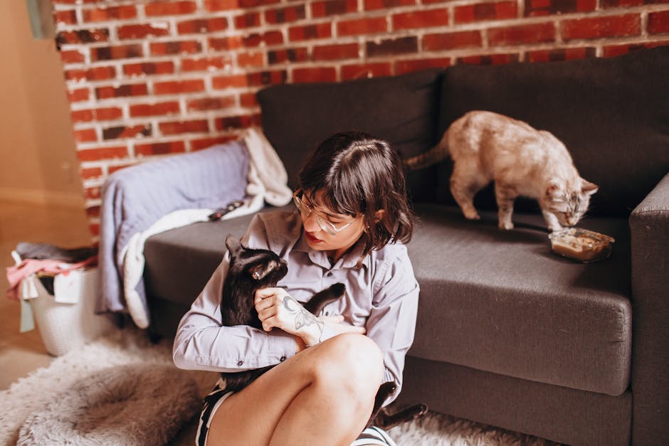 cat euthanasia cost australia