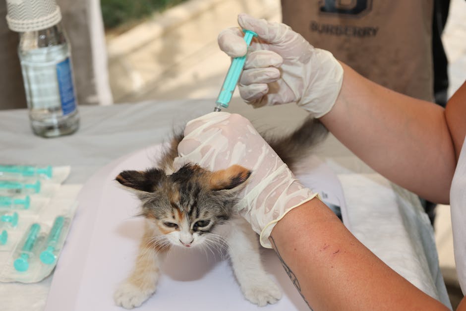pet vaccination cost australia