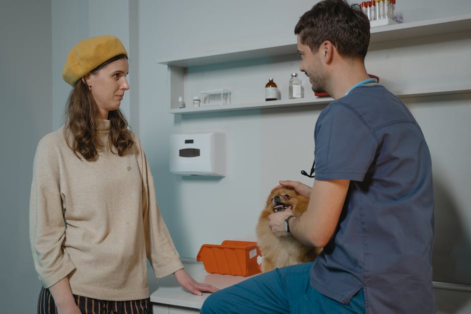 cavoodle desexing cost australia