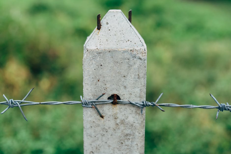 colorbond fencing cost australia