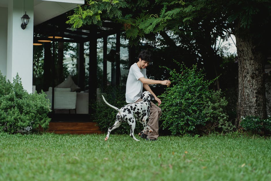 dog boarding cost Melbourne