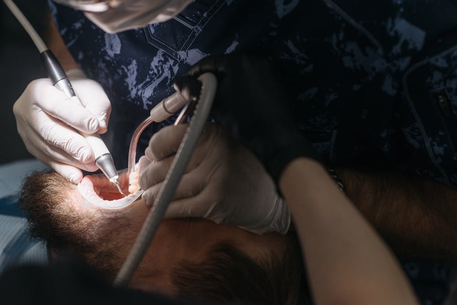 pet dental cleaning cost australia