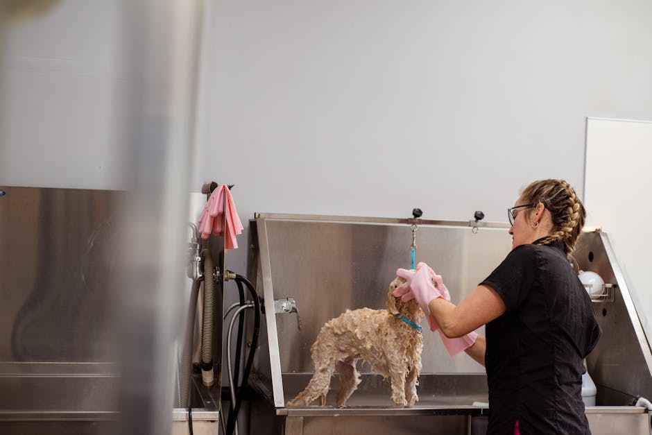 mobile dog grooming vs salon australia