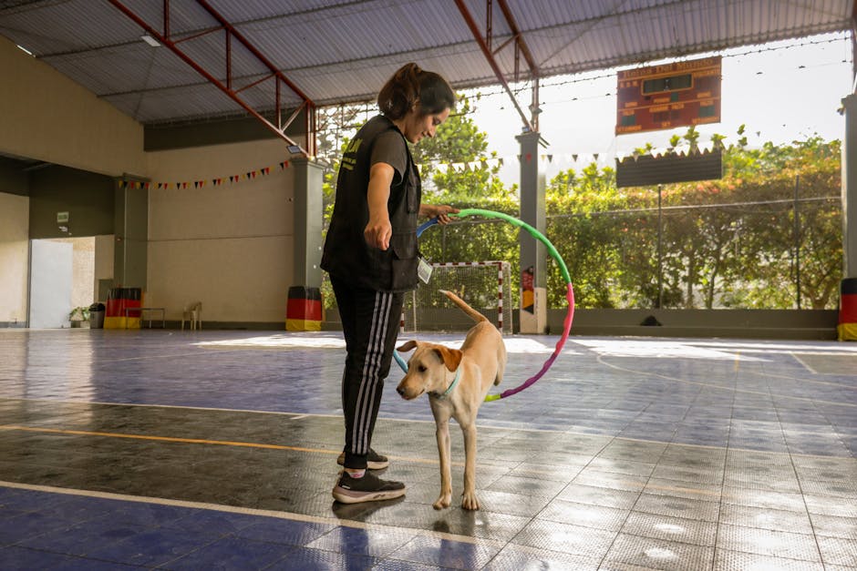dog obedience training cost australia