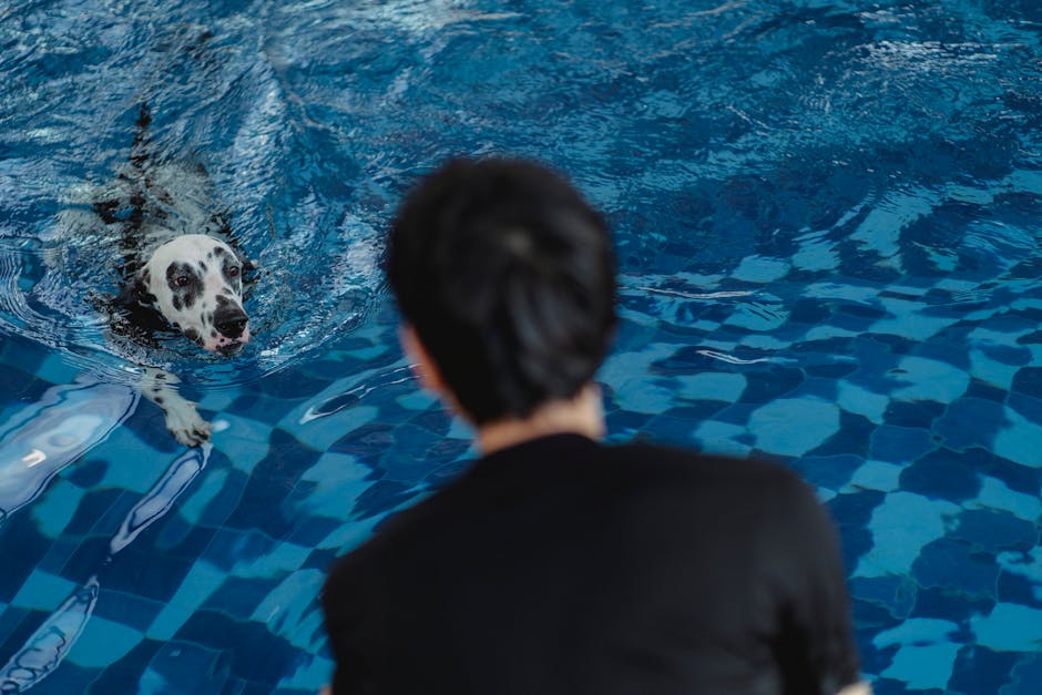 pet hydrotherapy cost Australia