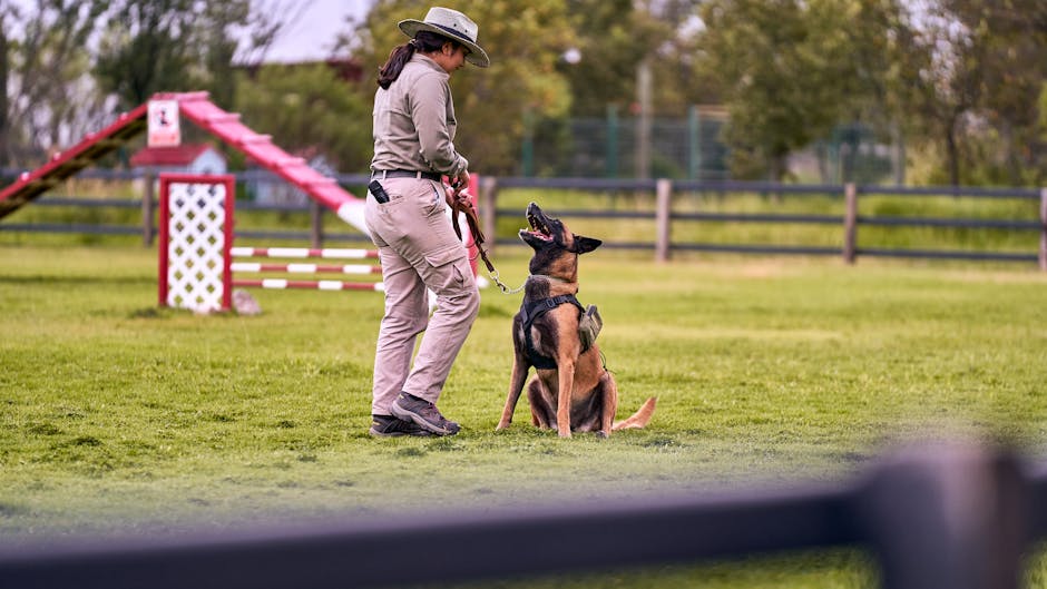 puppy school cost australia