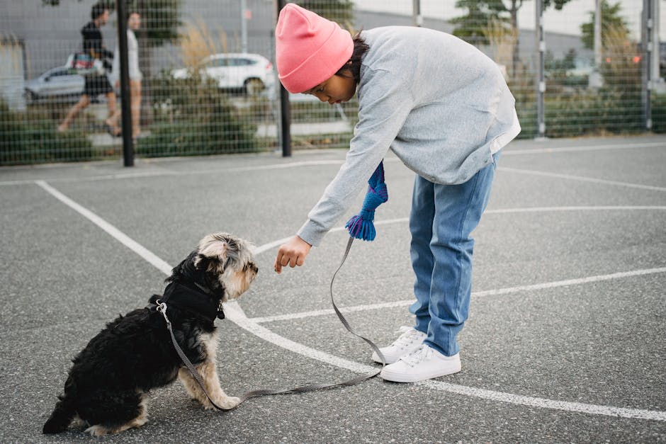 dog training cost australia