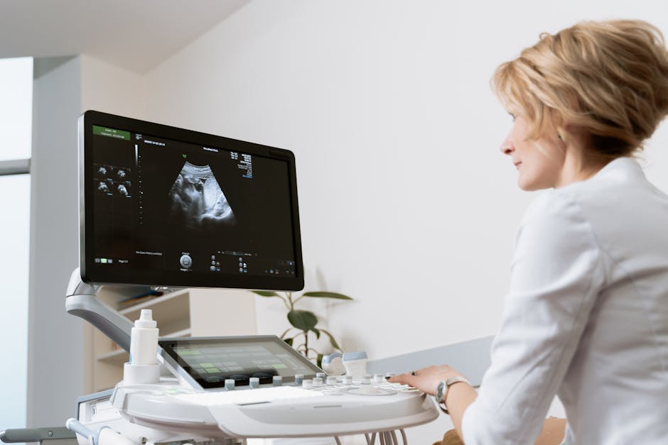 pet ultrasound cost australia