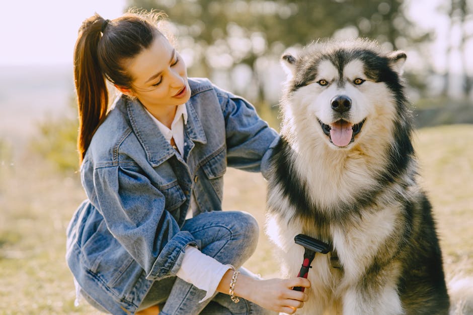 husky ownership cost australia