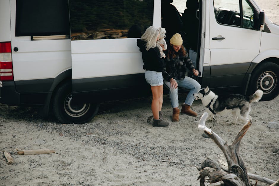 mobile dog grooming vs salon australia