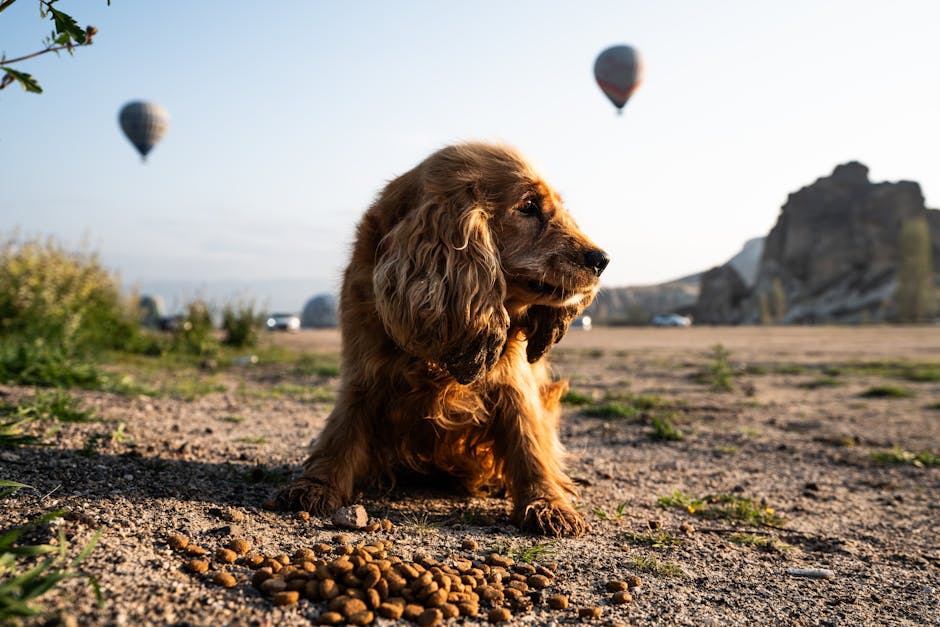 pet transport interstate cost