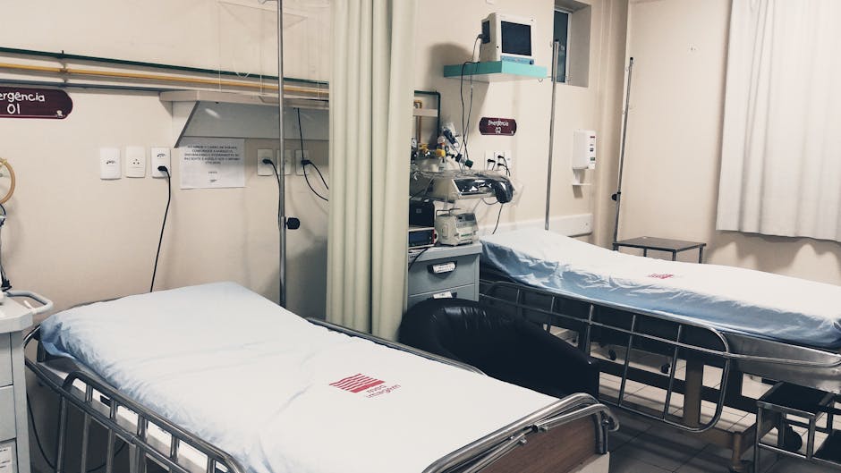 emergency vet cost australia
