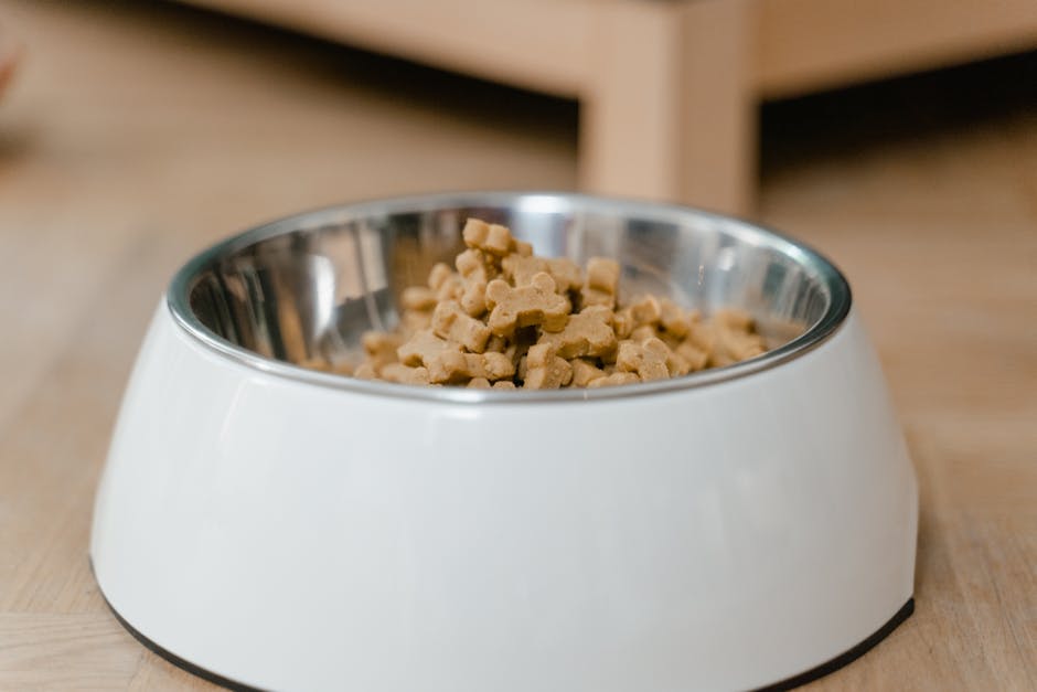 pet food cost per month australia
