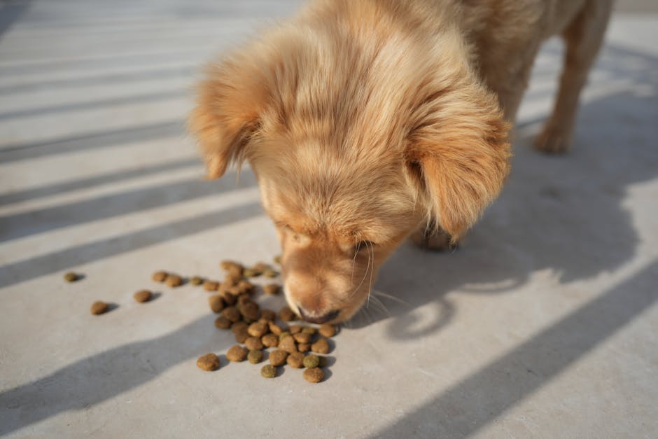 pet food cost per month australia