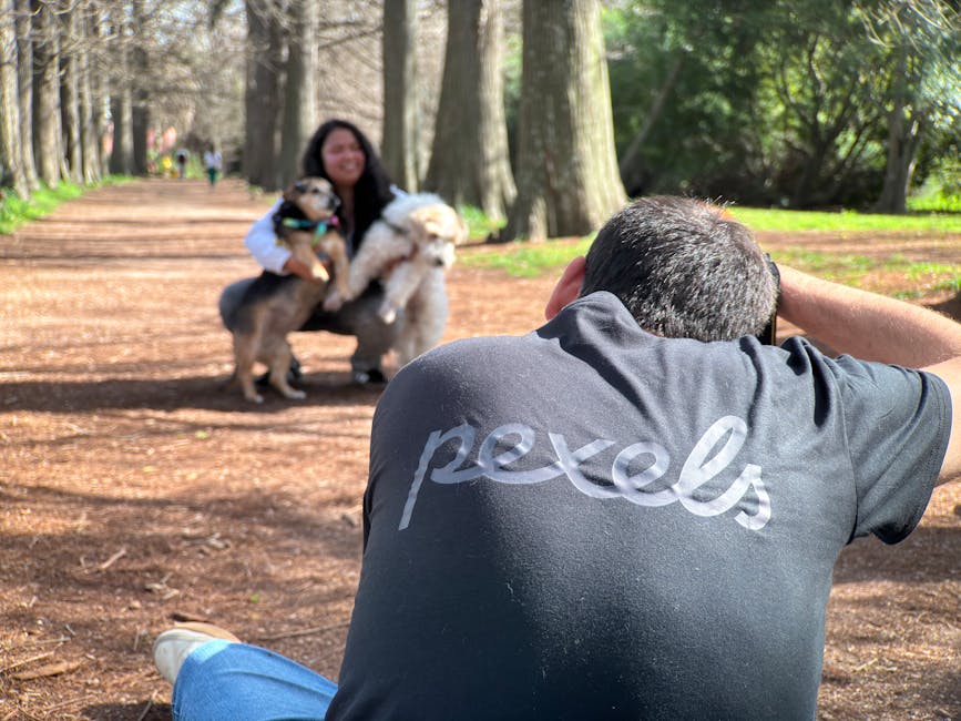 pet photography cost australia
