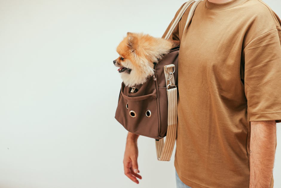 pet transport interstate cost