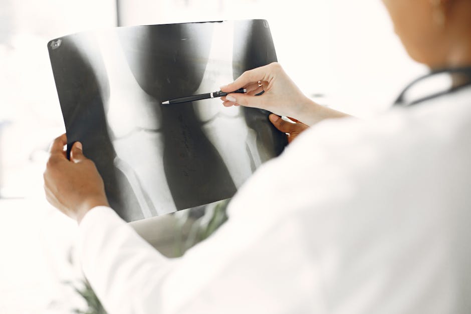 pet x-ray cost australia