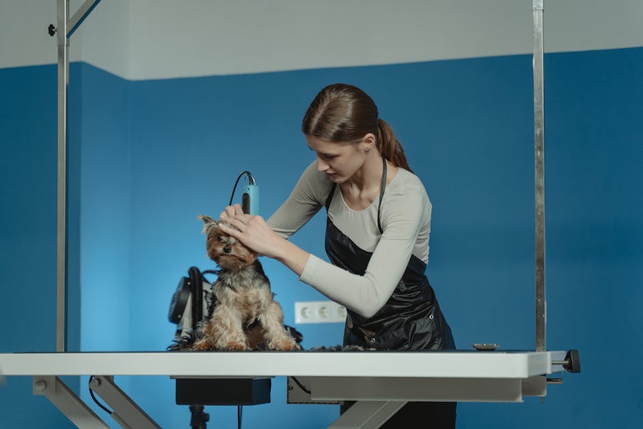 best dog clippers in australia