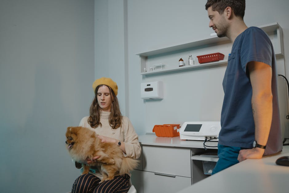 vet consultation cost Brisbane