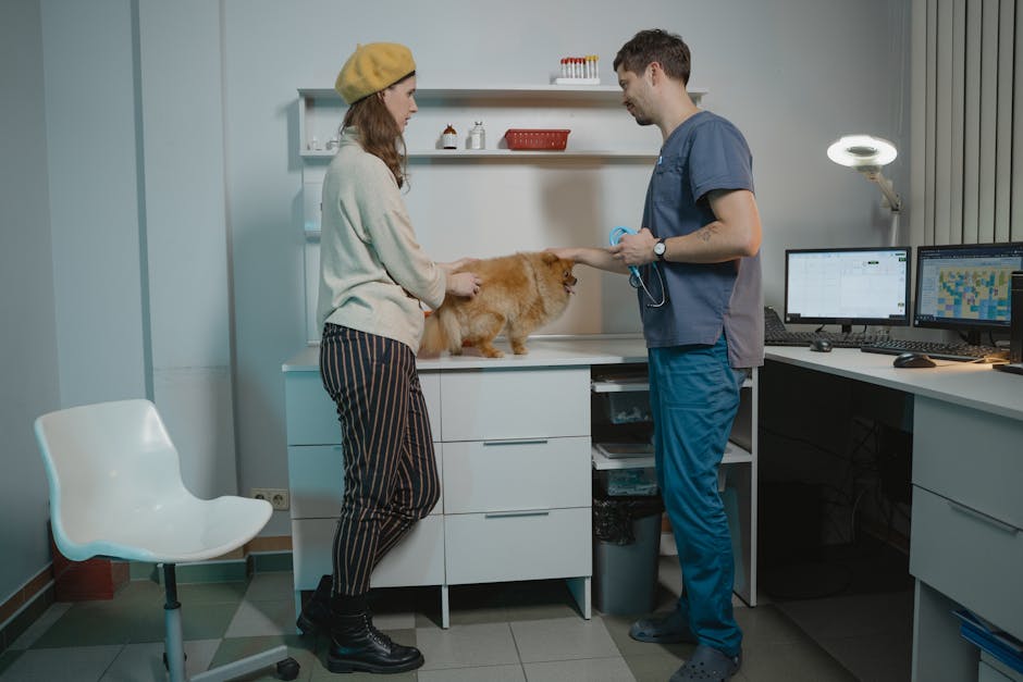 vet consultation cost australia