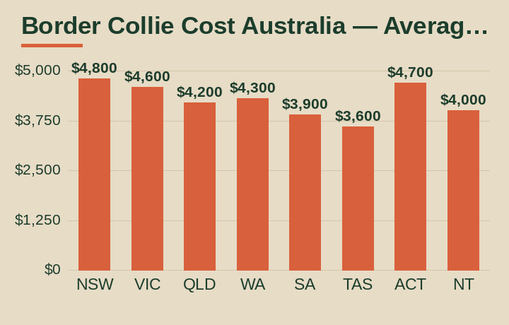 border collie cost australia average cost by Australian state
