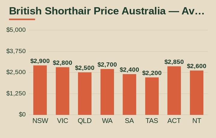 british shorthair price australia average cost by Australian state