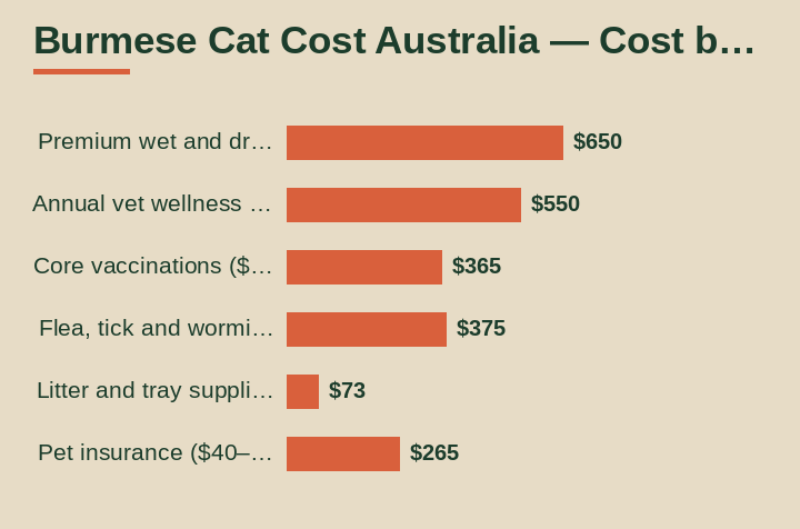 burmese cat cost australia cost by area