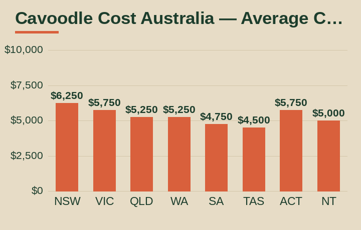 cavoodle cost australia average cost by Australian state