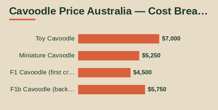 cavoodle price Australia cost breakdown comparison