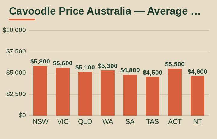 cavoodle price Australia average cost by Australian state