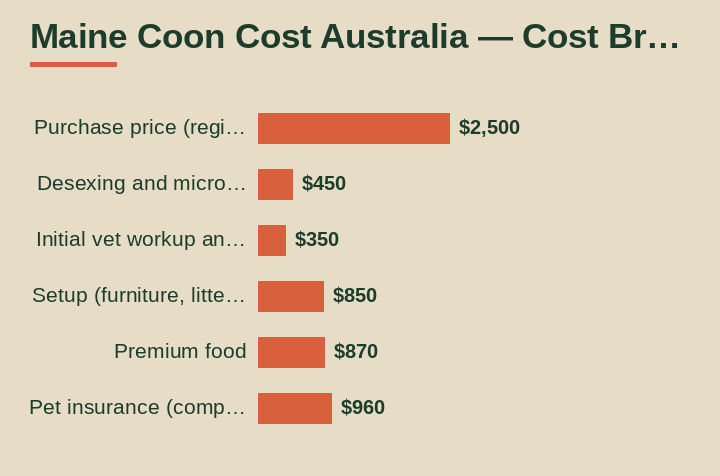 Maine Coon cost Australia cost breakdown comparison