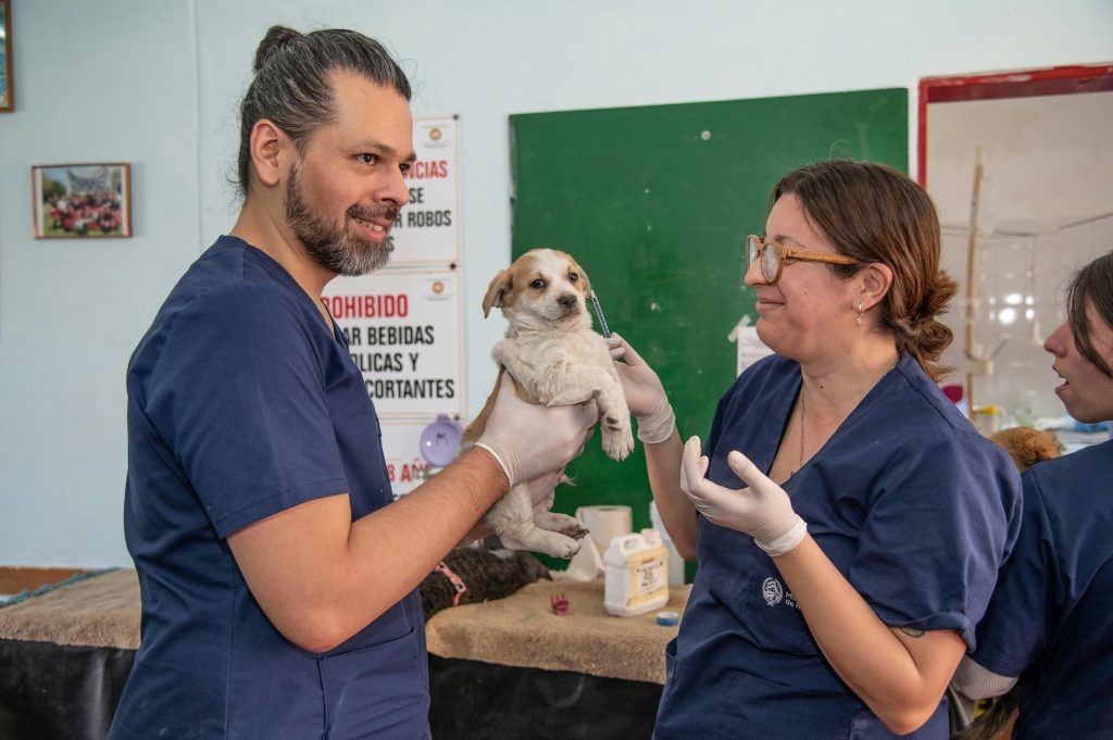 vet consultation cost