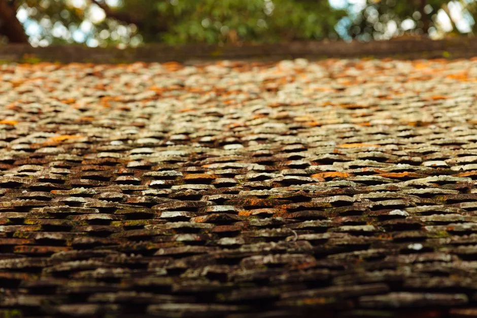 roof painting cost Australia