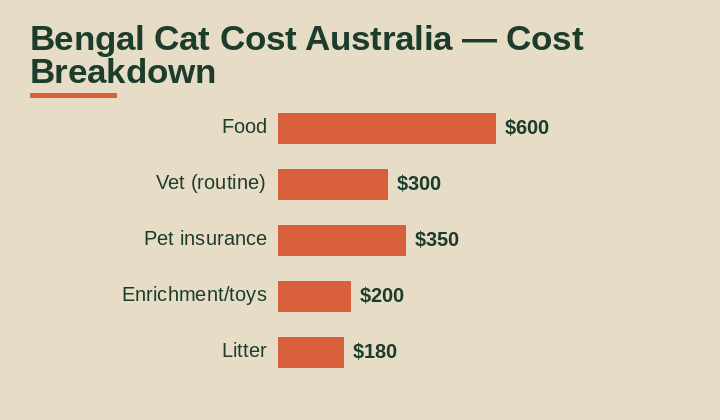 Bengal cat cost Australia cost breakdown comparison