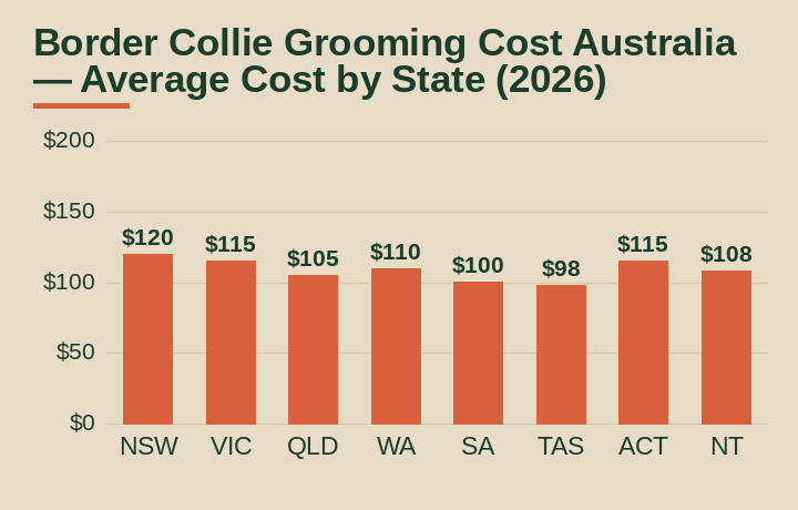 border collie grooming cost australia average cost by Australian state