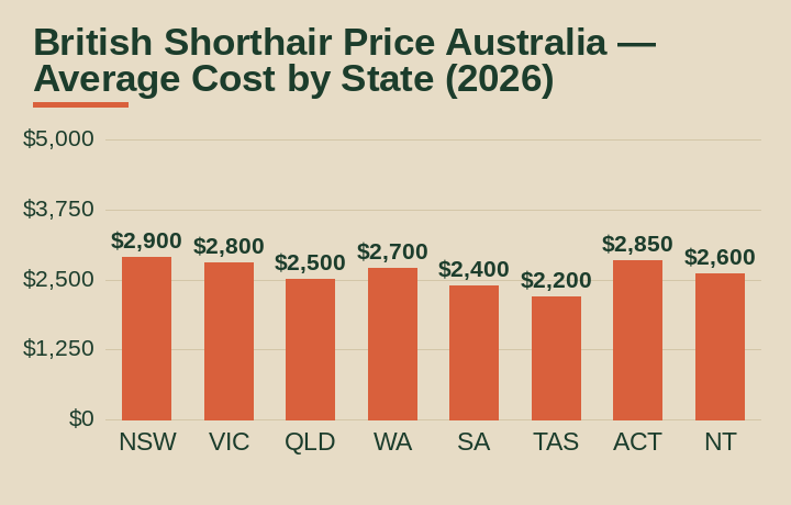 british shorthair price australia average cost by Australian state