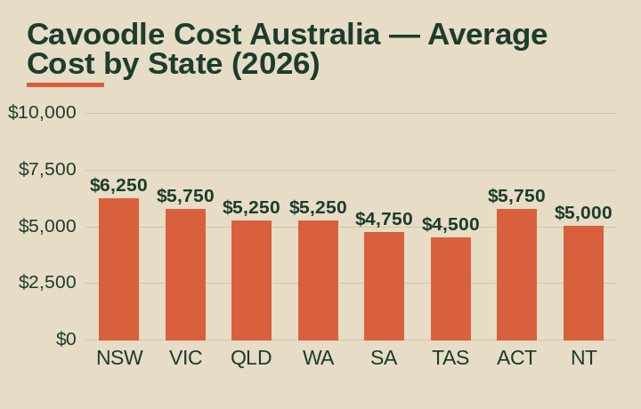cavoodle cost australia average cost by Australian state