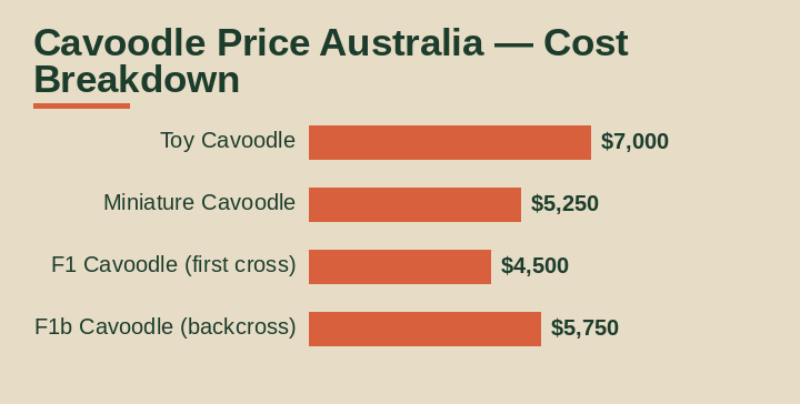 cavoodle price Australia cost breakdown comparison