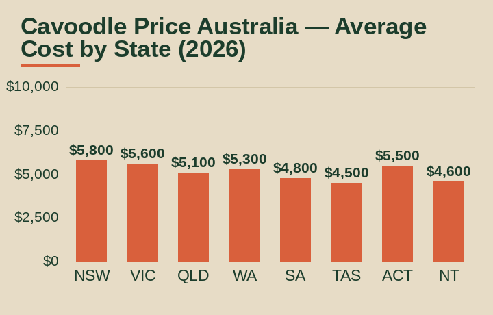 cavoodle price Australia average cost by Australian state