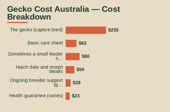 gecko cost australia cost breakdown comparison