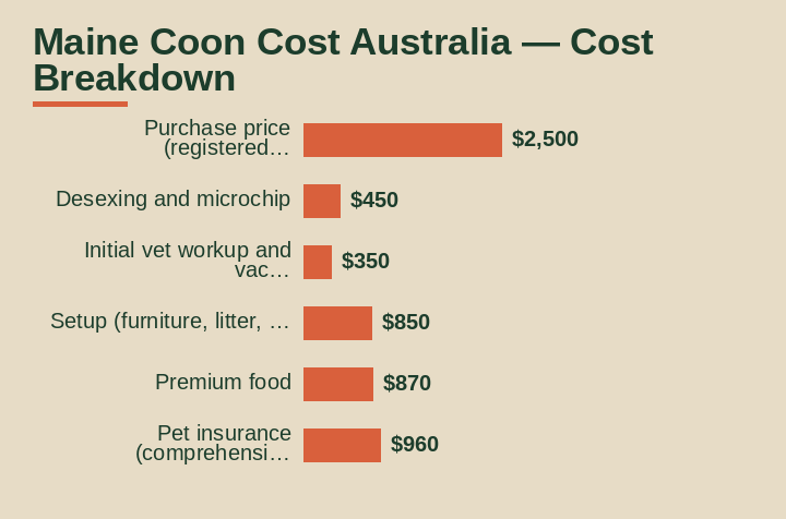 Maine Coon cost Australia cost breakdown comparison