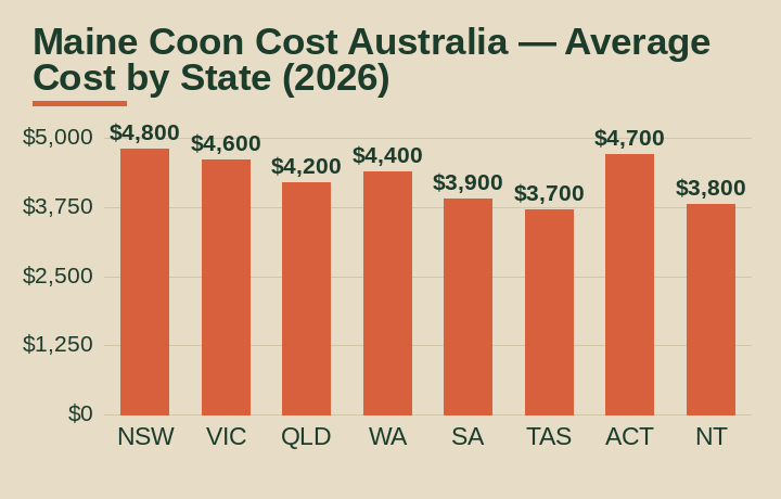 Maine Coon cost Australia average cost by Australian state
