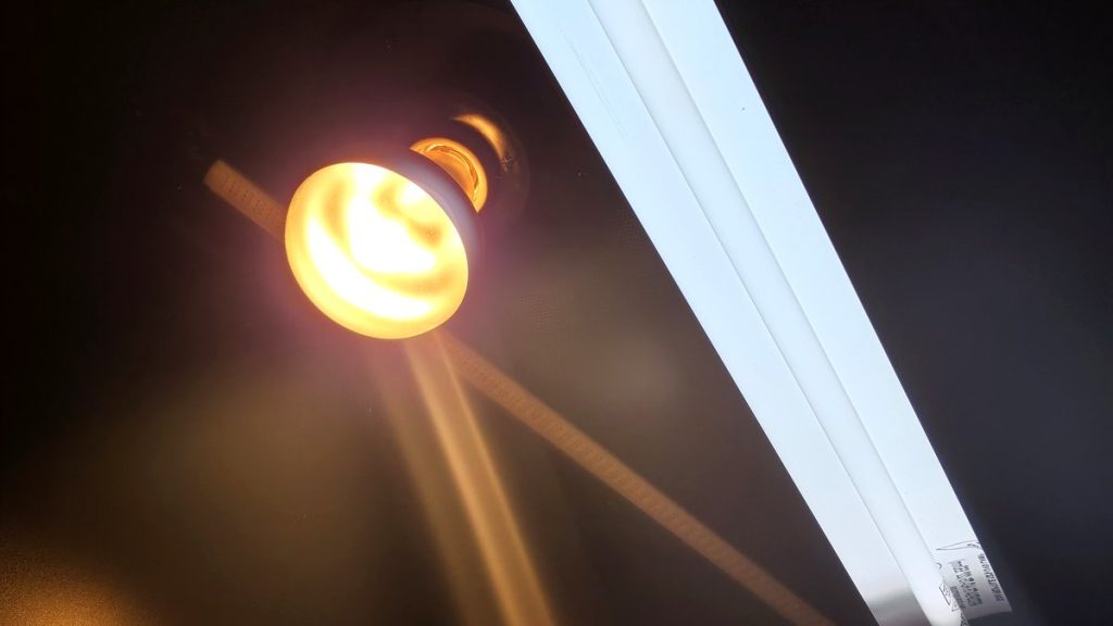 An Arcadia linear T5 UVB tube and a basking floodlight mounted in the roof of a reptile enclosure