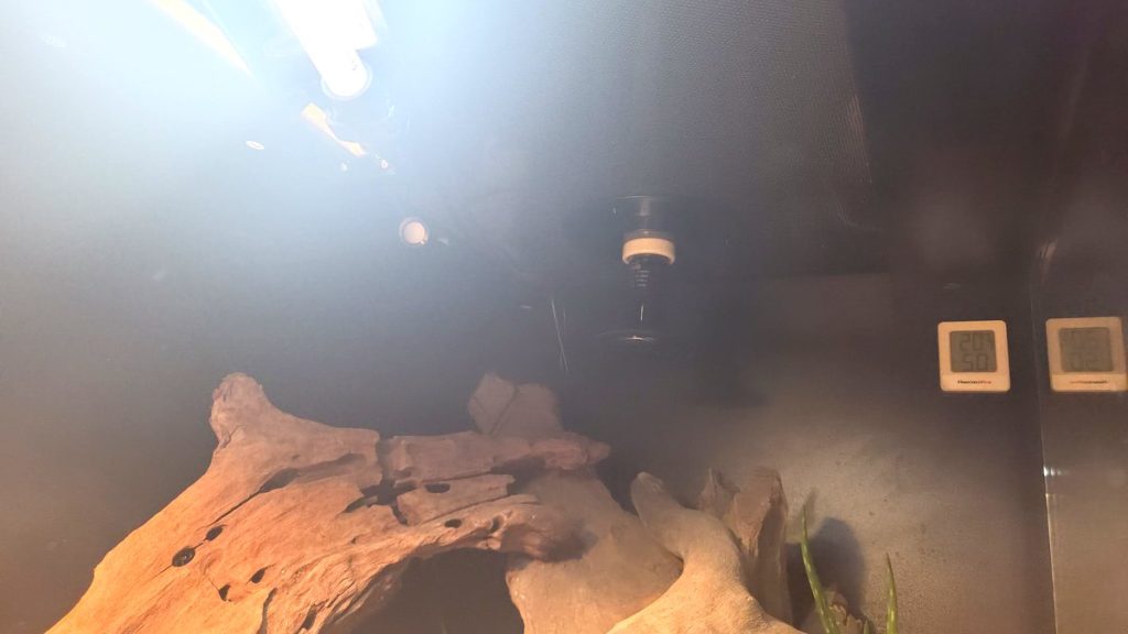 Inside a melamine reptile vivarium showing the T5 tube, lamp holder, gauges and driftwood