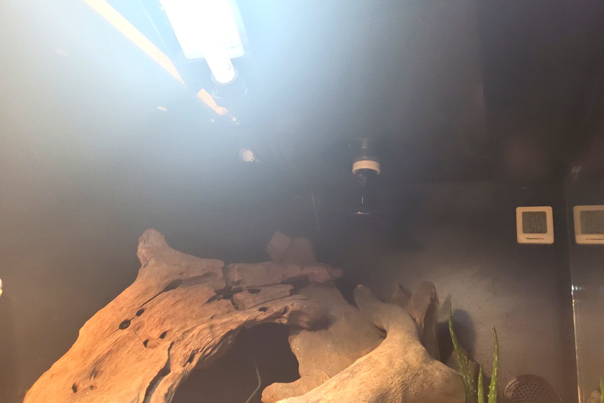 Overhead view of a reptile enclosure showing the T5 fixture, lamp holder and a wall mounted gauge