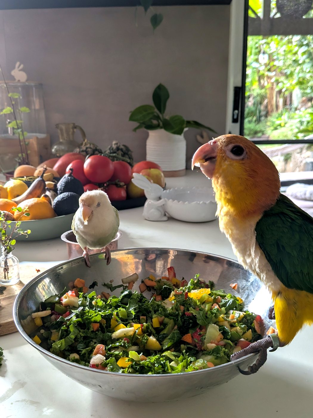 Caique perched on a large bowl of chopped fresh vegetables and fruit